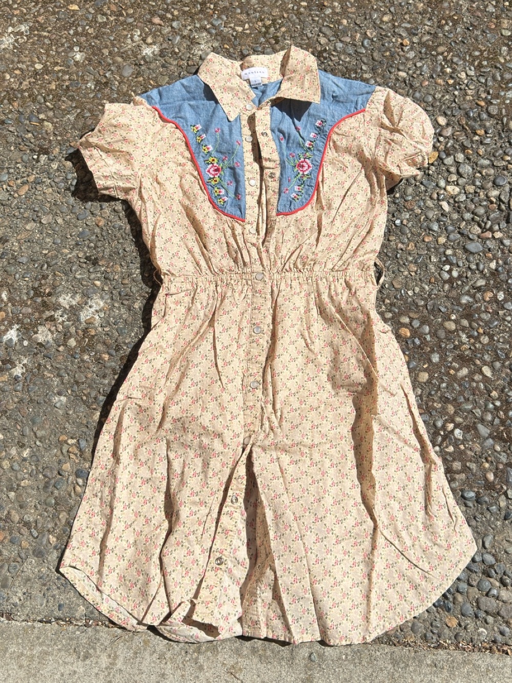 Vintage Cream Mini Dress with Blue Yoke and Floral Embroidery
